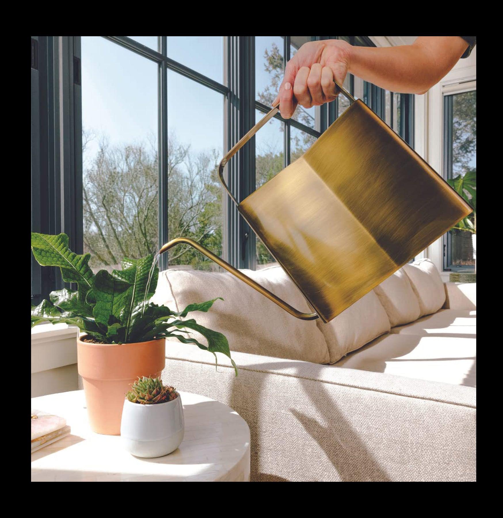 Handmade Brass Watering Can - Vintage Style Garden Watering Pot for Indoor & Outdoor Plants - Perfect for Home Decor, Gardening Gifts, and Plant Lovers