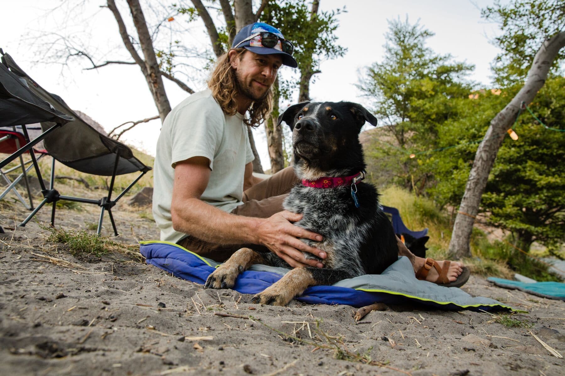 Ruffwear Mexico - Oceanic Distortion Nature Design Flat Collar for Dogs | Durable & Stylish Pet Accessory for Hiking, Walking & Outdoor Adventures