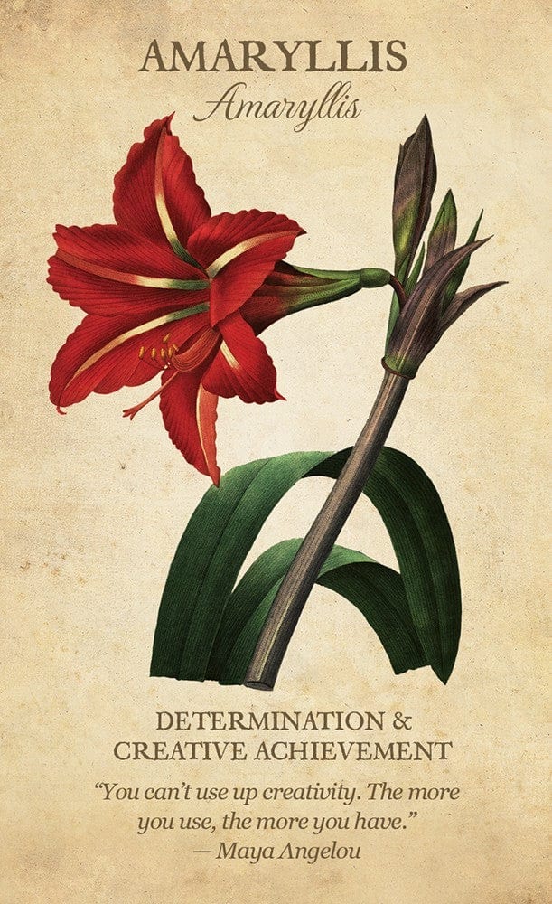 Botanical Inspirations Deck & Book Set - 78 Nature-Themed Oracle Cards & Guidebook for Meditation, Self-Discovery & Spiritual Growth | Perfect for Tarot Readers, Yoga Practitioners & Nature Lovers