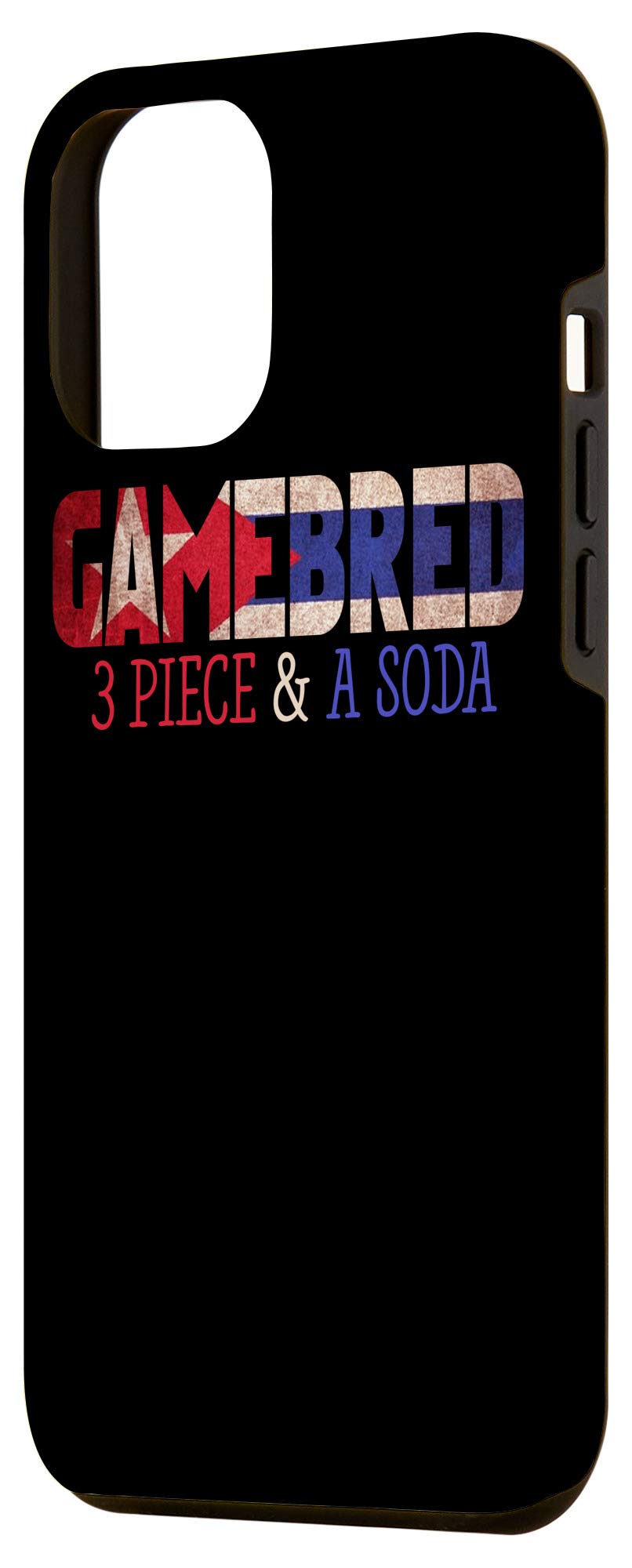 iPhone 12 Pro Max Case - 3 Piece Protective Cover with Unique MMA Fighter Quote Design | Perfect for Gym, Training & Everyday Use