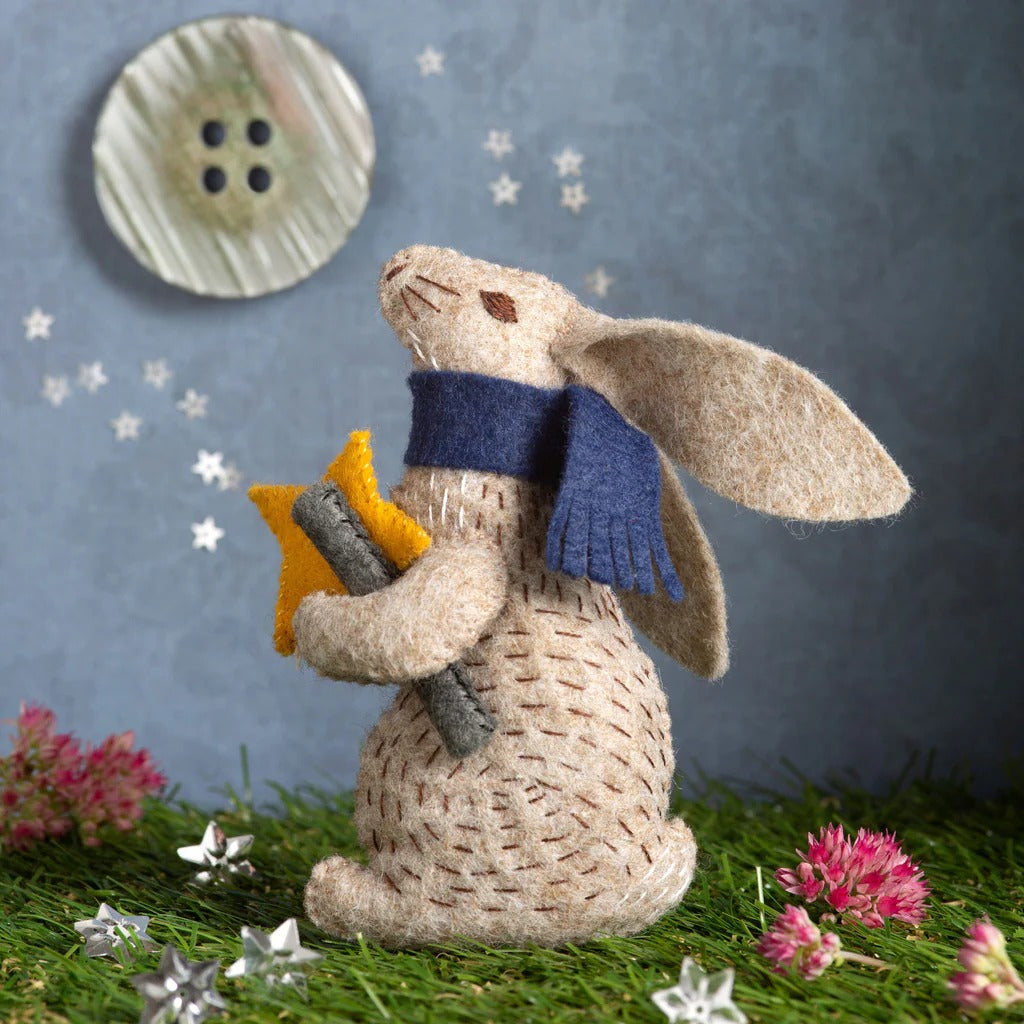 Professor Hare Felt Craft Mini Kit - DIY Sewing Kit for Kids & Adults - Perfect for Home Decor, Gifts & School Projects