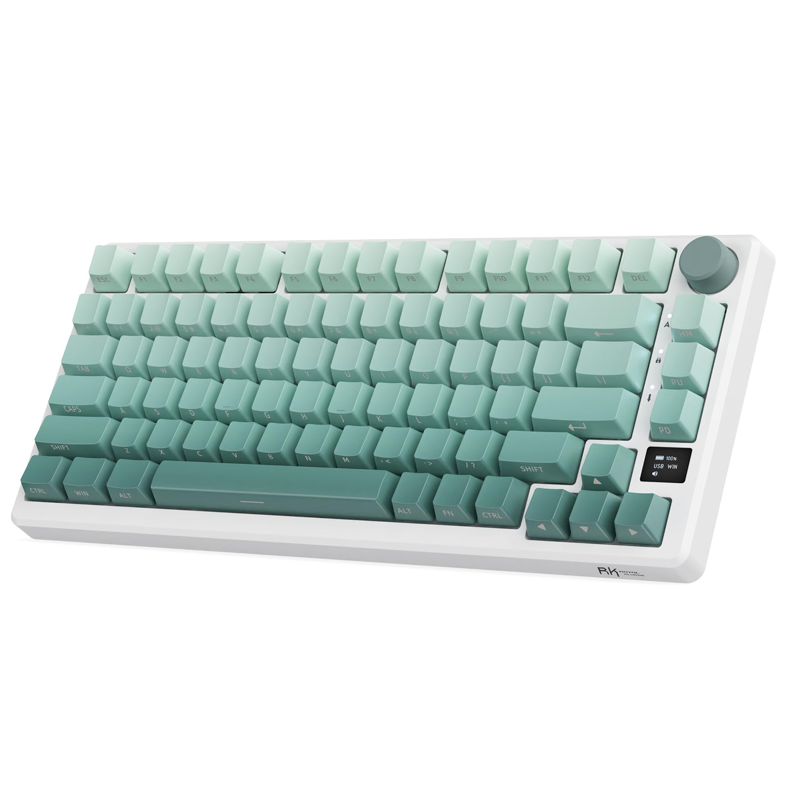 RK ROYAL KLUDGE M75 Wireless Mechanical Gaming Keyboard - 75% Compact 81 Keys with OLED Display, Rotary Knob & RGB Backlit | 2.4GHz/BT5.1/Wired Triple Mode | Hot-Swappable Cloud Switch & Gasket Mount | PBT Side-Printed Keycaps for PC/Mac Gaming & Office Typing