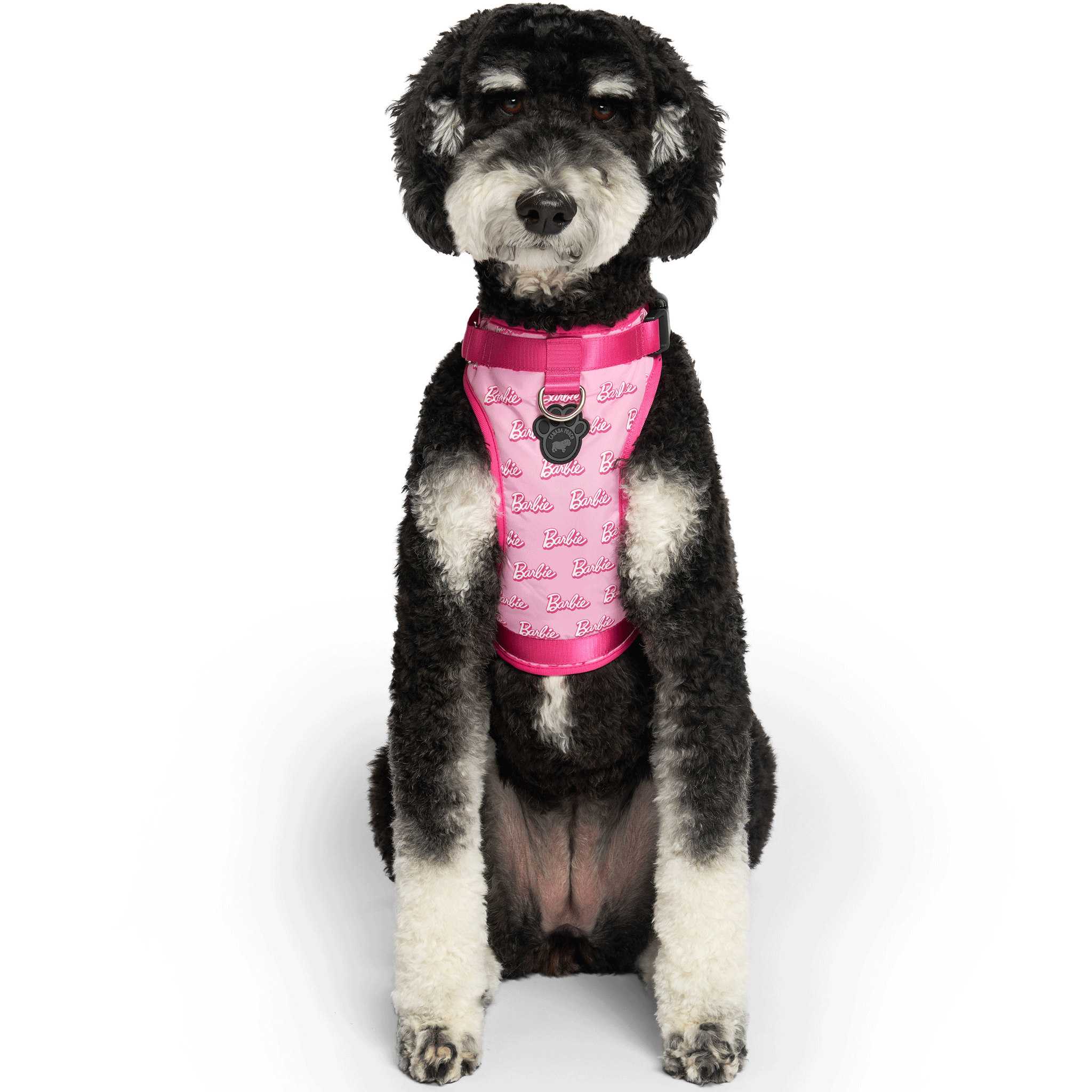 Barbie™ Everything Harness with Logo Print - Adjustable Pet Harness for Small Dogs & Cats - Perfect for Walking, Training & Outdoor Adventures