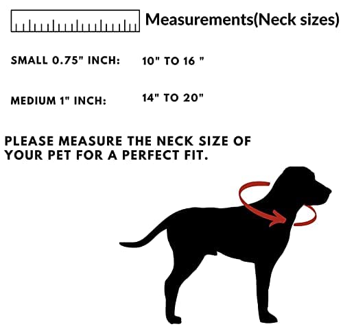 SR VISION Adjustable Nylon Dog Collar - 1 Inch Wide Durable Pet Neck Belt with Metal Buckle (Golden Color) for Small Medium Large Dogs - Perfect for Daily Walks, Training & Outdoor Adventures