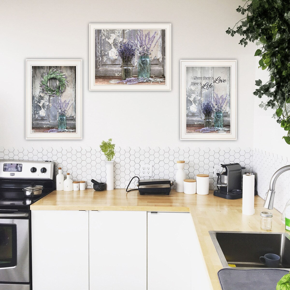 Abundance Beauty 2-Piece Vignette Wall Art Set by Lori Deiter - White Framed Home Decor for Living Room, Bedroom & Office