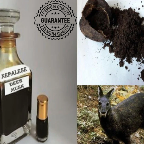 Authentic Wild Nepalese Kasturi Real Black Deer Musk Nafa Pheromones Attar Oil 3ML - Natural Perfume, Aromatherapy & Spiritual Use for Meditation, Romance & Confidence Boost