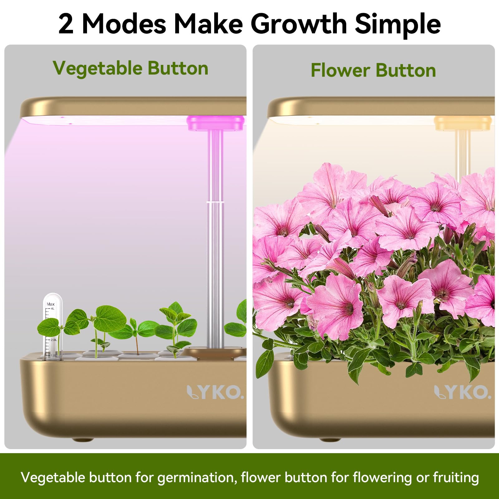 LYKOCLEAN 12-Pod Hydroponic Growing System with LED Grow Light & Automatic Timer - Indoor Herb Garden Kit for Fresh Salad, Vegetables, Fruits - Perfect for Kitchen, Office, Home Gardening & Urban Farming