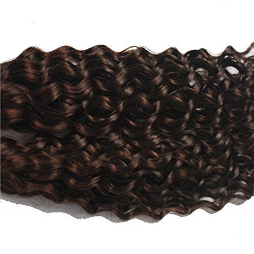 Brazilian Virgin Human Hair Bundles 100g - Deep Curly No Weft Braiding Hair for Weaving (28inch, 1 Bundle, Darkest Brown) - Perfect for Protective Styles, Twist Outs & Natural Hair Extensions