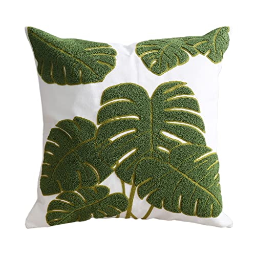 7 Green Monstera