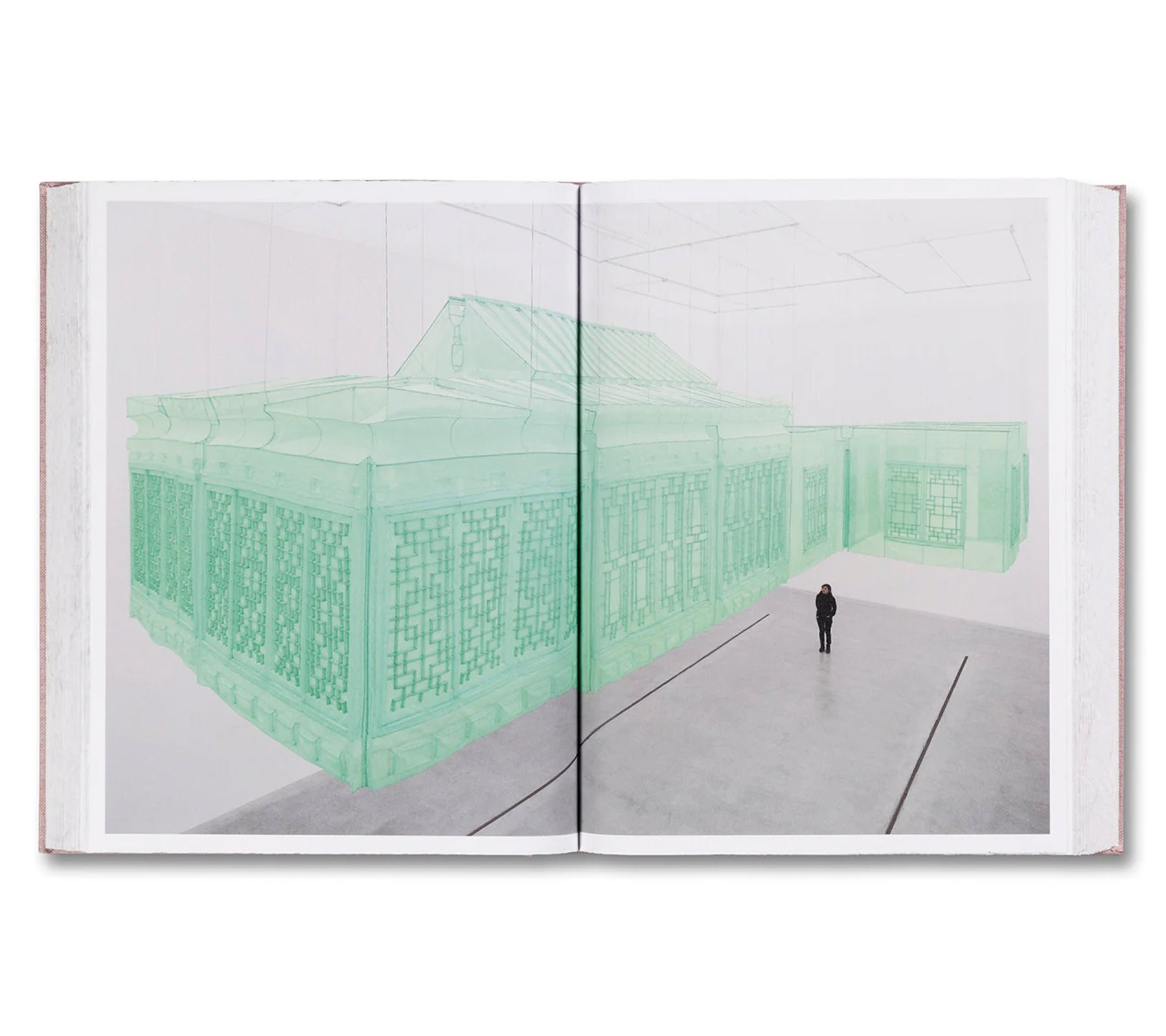 ANATOMY by Do Ho Suh - Contemporary Art Sculpture for Modern Home & Office Decor | Perfect for Art Collectors and Interior Design