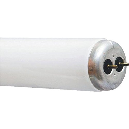 GE Lighting 49893 48-Inch 40W White Fluorescent Tube Light Bulbs for Plants & Aquariums - Perfect for Indoor Gardening, Hydroponics, and Fish Tank Lighting