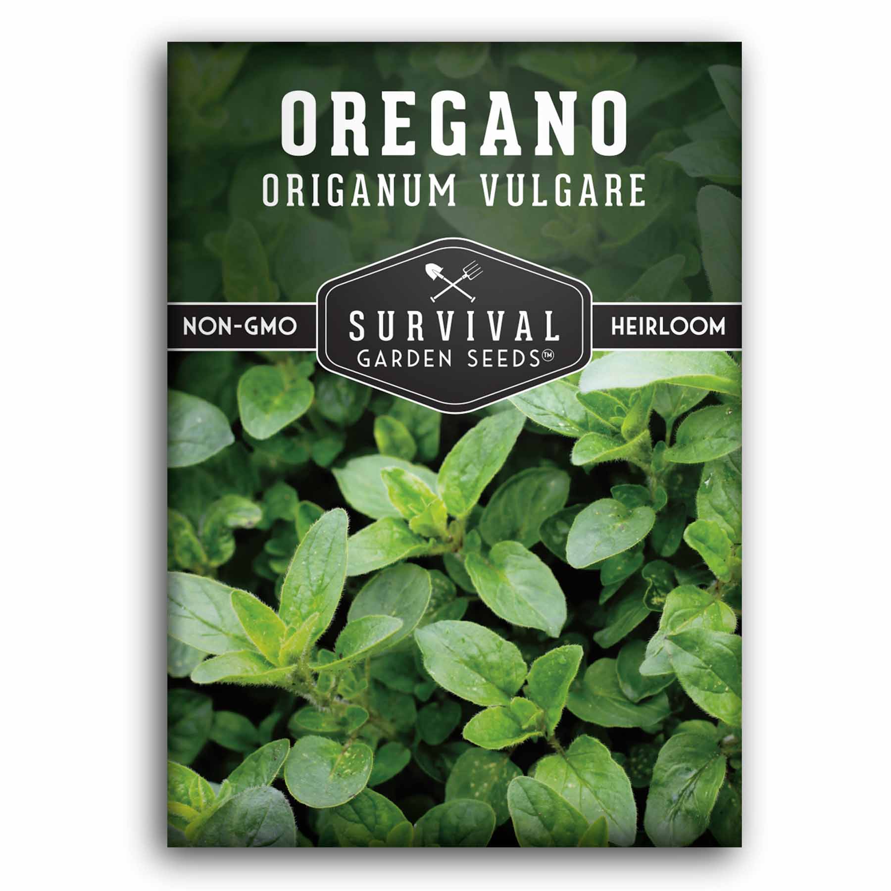 Organic Oregano Seeds for Planting - Non-GMO, Heirloom Herb Seeds for Home Garden, Cooking & Medicinal Use - Perfect for Indoor & Outdoor Herb Gardens
