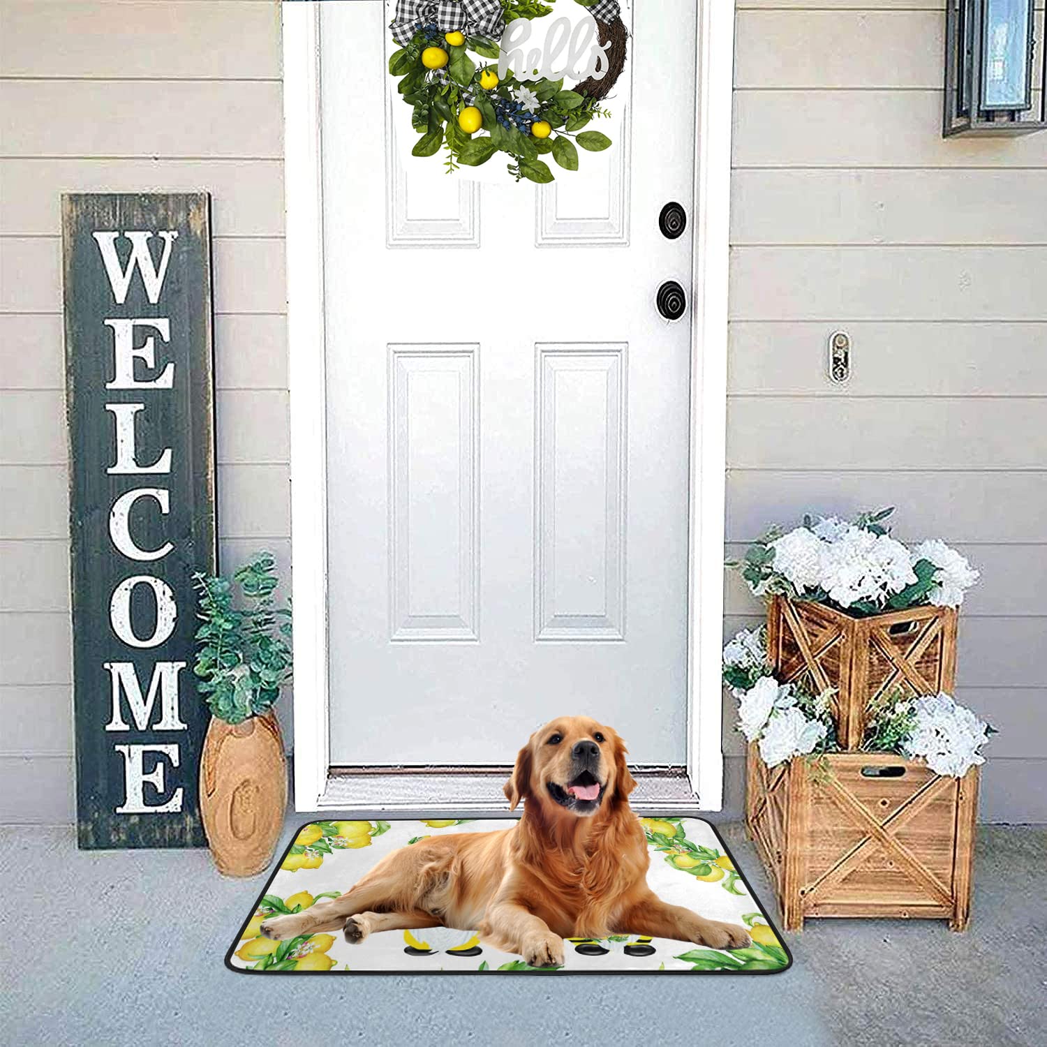 ALAZA Non-Slip Lemon Kitchen Rug - Yellow Lemon Gnome Bath Runner Mat for Bathroom, Kitchen, Indoor Floors & Entryway (39x20 Inches) | Waterproof, Anti-Fatigue Floor Mat for Home Decor & High Traffic Areas