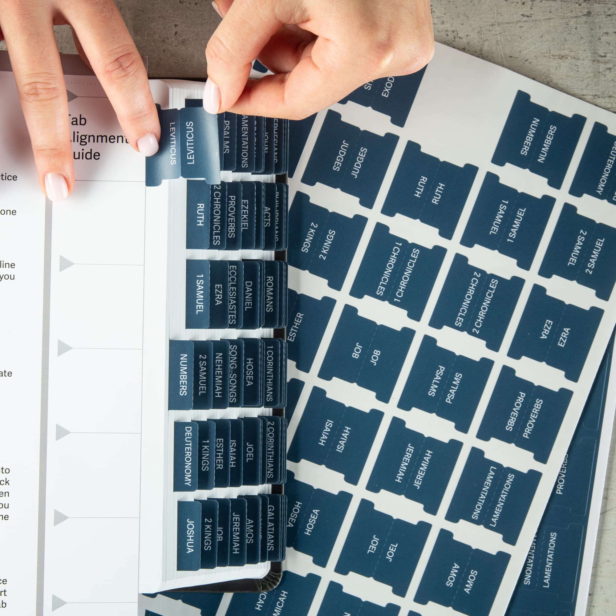 DIVERSEBEE Large Print Laminated Bible Tabs - Easy to Apply Bible Study Accessories for Women | Perfect for Scripture Journaling, Church Services & Personal Devotion