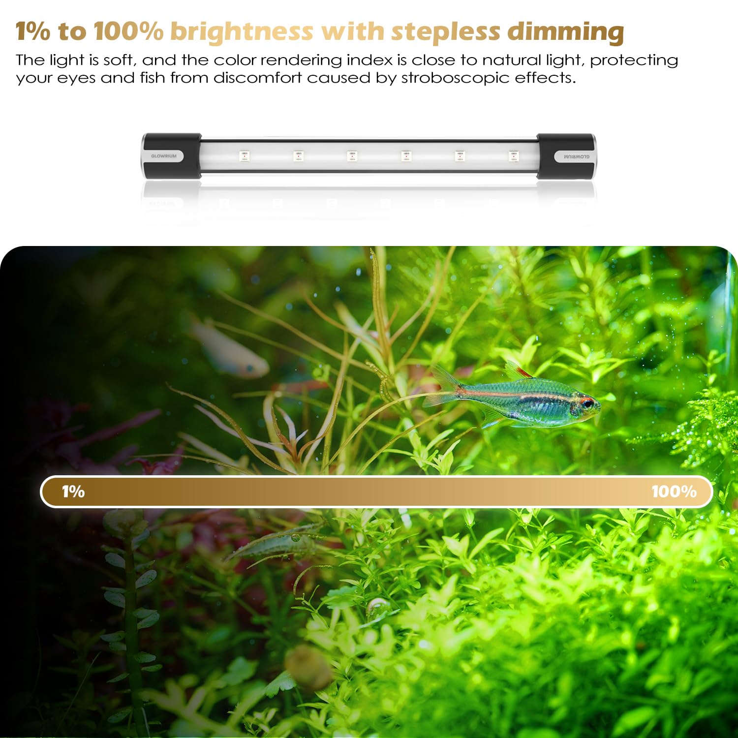 Best LED Aquarium Lights for Plants & Fish - Full Spectrum RGB with 10 Lighting Modes, IP68 Waterproof, Auto Timer On/Off - Perfect for Freshwater & Saltwater Tanks, Coral Reefs & Aquatic Plant Growth