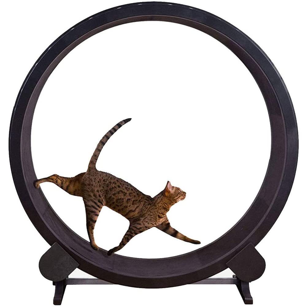 Ming Create Cat Exercise Wheel - 1.2m Diameter Cat Treadmill & Fitness Toy for Indoor Training, Climbing Frame & Play - Perfect for Active Cats & Small Pets in Apartments & Homes