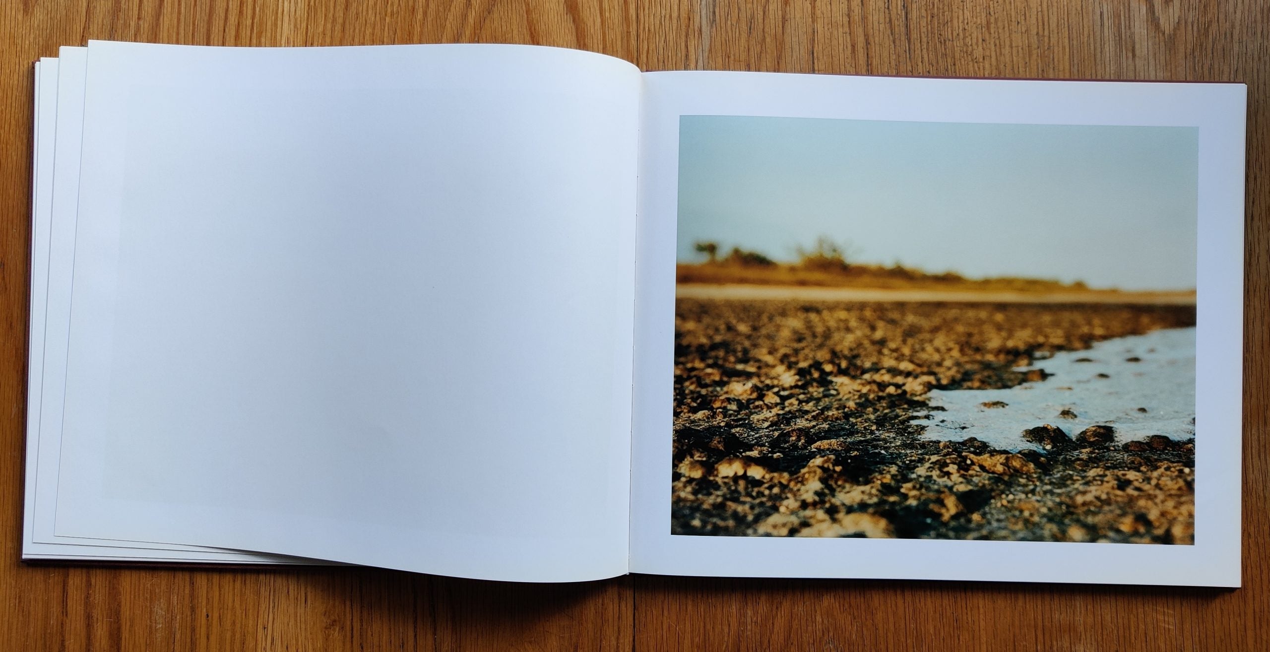 Fried Waters by Nazraeli Press - Art Photography Book for Collectors & Enthusiasts | Perfect for Home Decor, Gifts & Coffee Table Displays