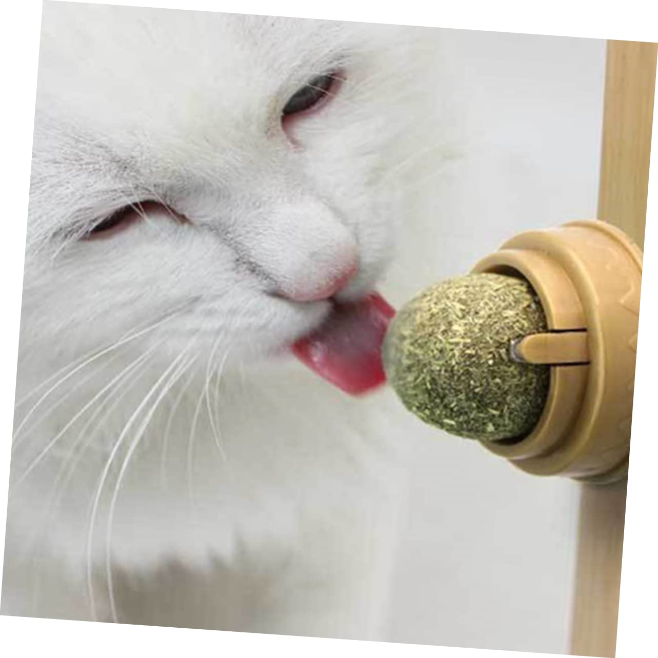 3pcs Catnip Silvervine Ball Toy - Cat Treat for Teeth Cleaning & Digestion - Play & Lick Fun