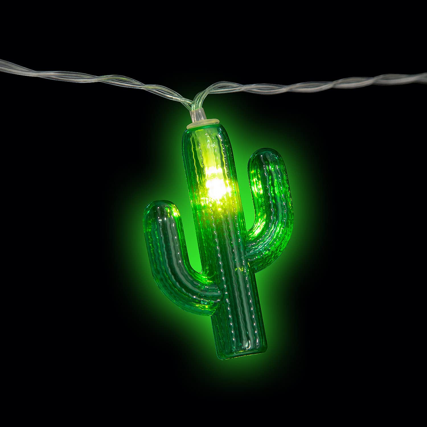 Fun Express Cactus String Lights - 10ft Decorative LED Fairy Lights for Bedroom, Party, Wedding & Outdoor Decor - Warm White USB Powered Waterproof Lighting