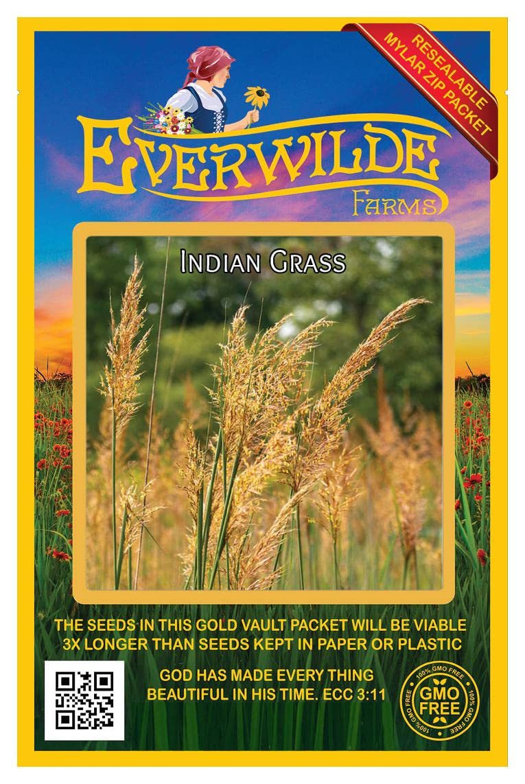 Everwilde Farms 1000 Indian Grass Native Seeds - Premium Gold Vault Jumbo Packet for Landscaping, Erosion Control & Prairie Restoration | Drought-Resistant Ornamental Grass for Gardens & Wildlife Habitats