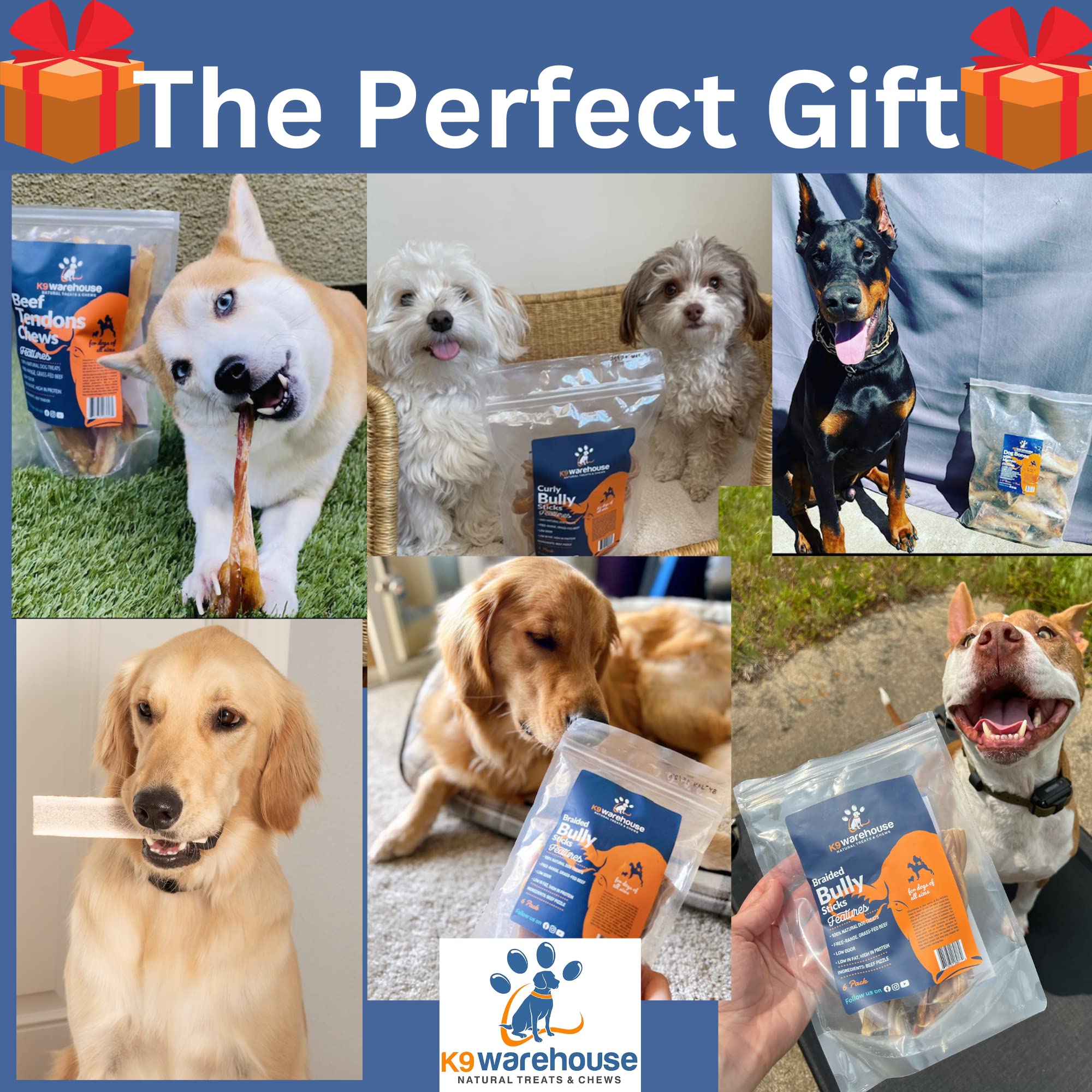 Premium All-Natural Bone Marrow Dog Treats - Long-Lasting High-Protein Chew Bones for Aggressive Chewers - Small, Medium, Large & XL Dogs - Perfect for Training, Dental Health & Anxiety Relief