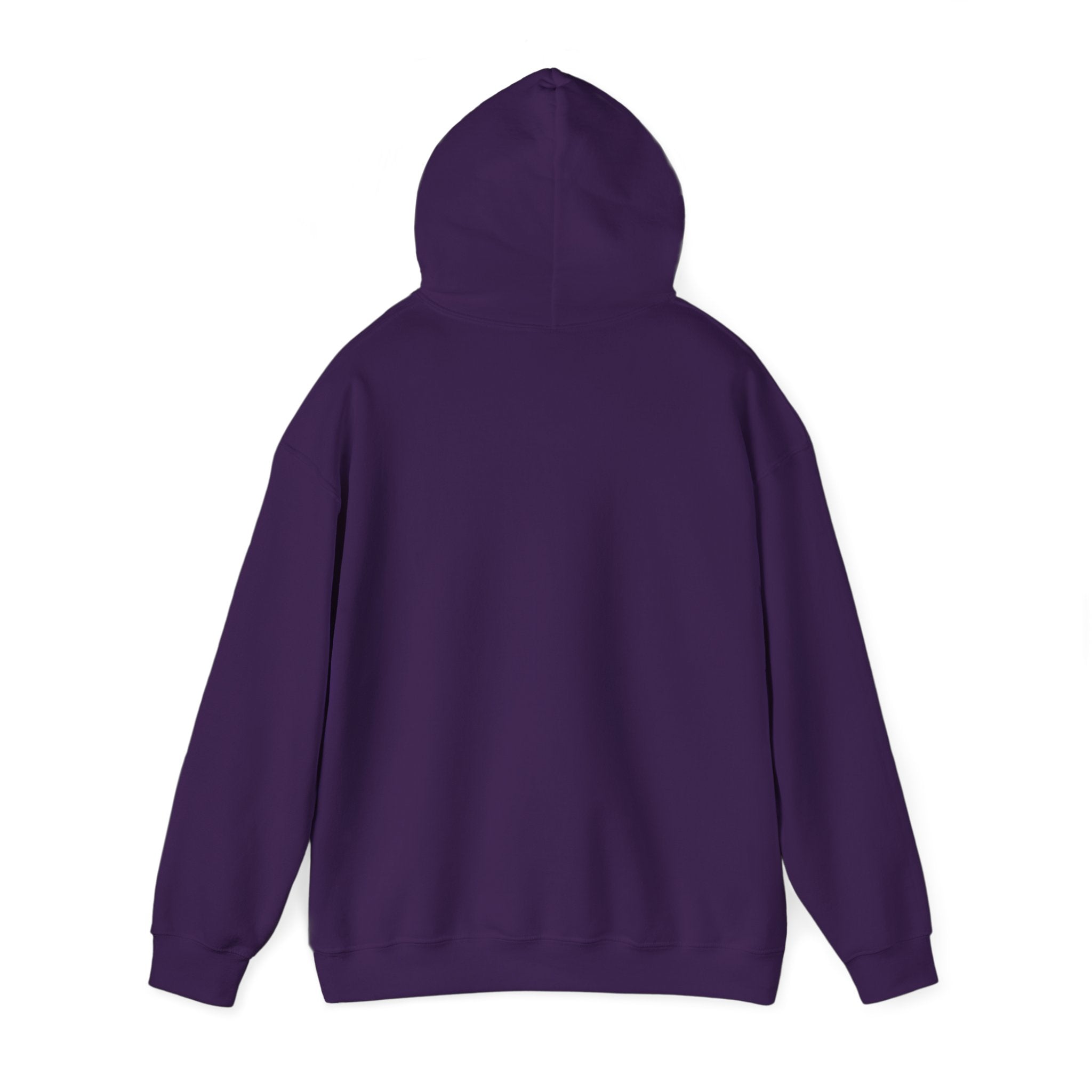 Shauwney's Skate Palace Hooded Sweatshirt for Men & Women - Comfortable Pullover Hoodie for Skateboarding, Streetwear Fashion (Perfect for Casual Wear, Outdoor Activities & Winter Layering)