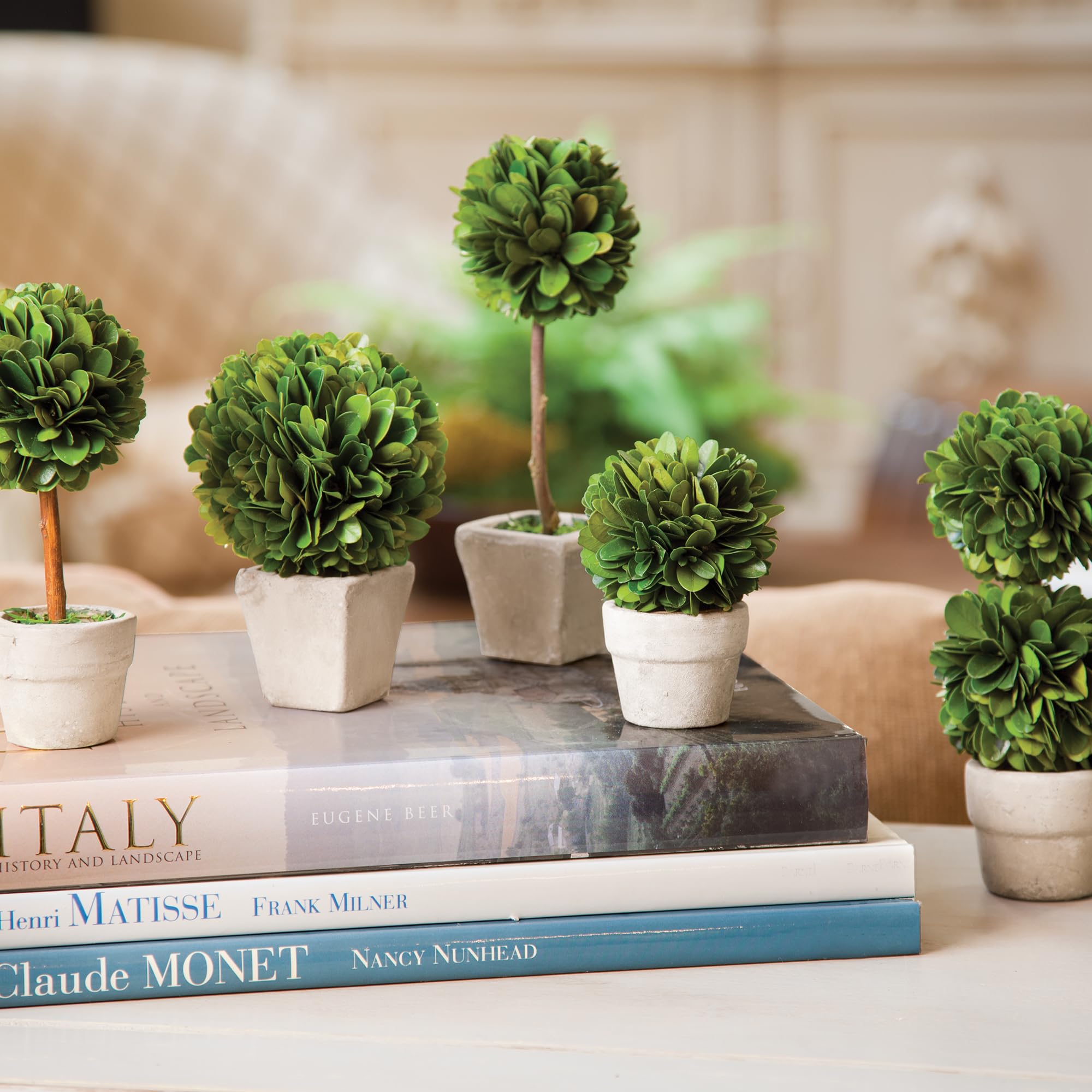 Napa Home & Garden Boxwood Mini Topiaries in Pots - Set of 5 Artificial Green Plants for Indoor/Outdoor Decor, Table Centerpieces, Wedding & Home Décor