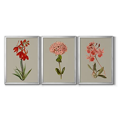 Art S2062-3SS
