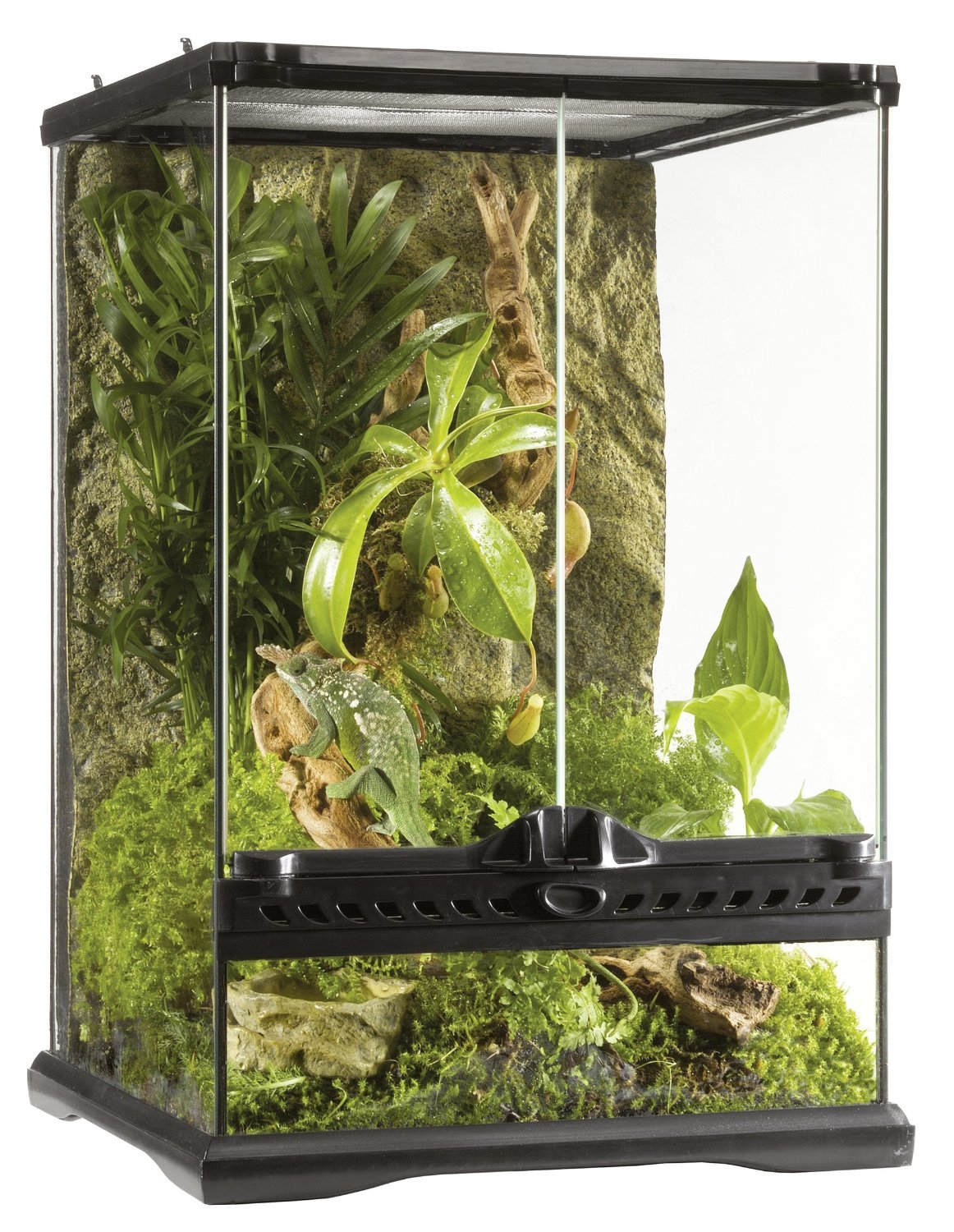 Exo Terra Glass Terrarium 12x12x18 Inches - Premium Reptile Habitat for Geckos, Frogs & Small Animals - Ideal for Home, Office & Classroom Terrariums