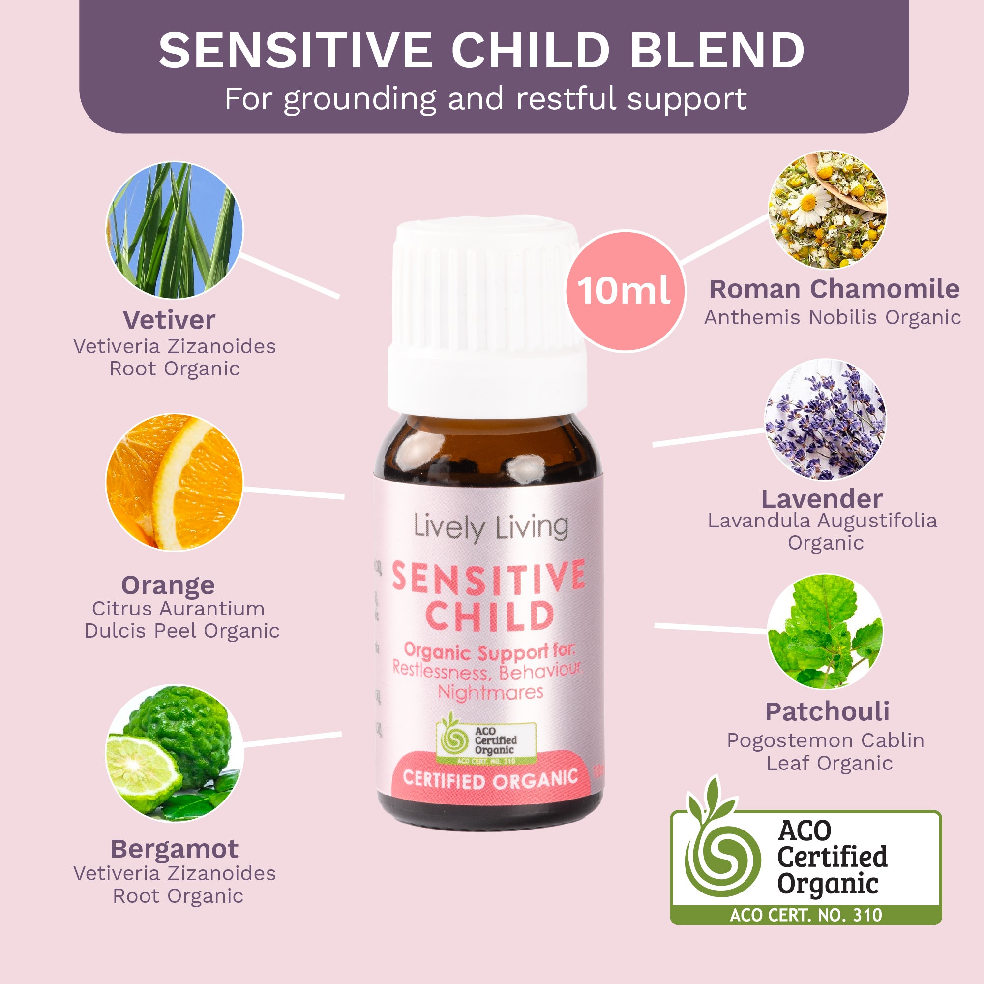 Organic Essential Oil Trio Set - Lavender, Peppermint & Eucalyptus - Aromatherapy Diffuser Blends for Relaxation, Stress Relief & Better Sleep