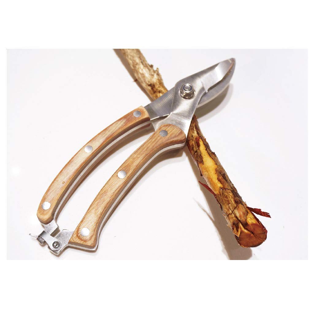 8 Inch Garden Pruning Shears - Professional Bypass Pruner for Trimming Branches, Plants & Flowers | Heavy Duty Gardening Shears for Gardeners | Perfect for Landscaping, Tree Care & Flower Arranging