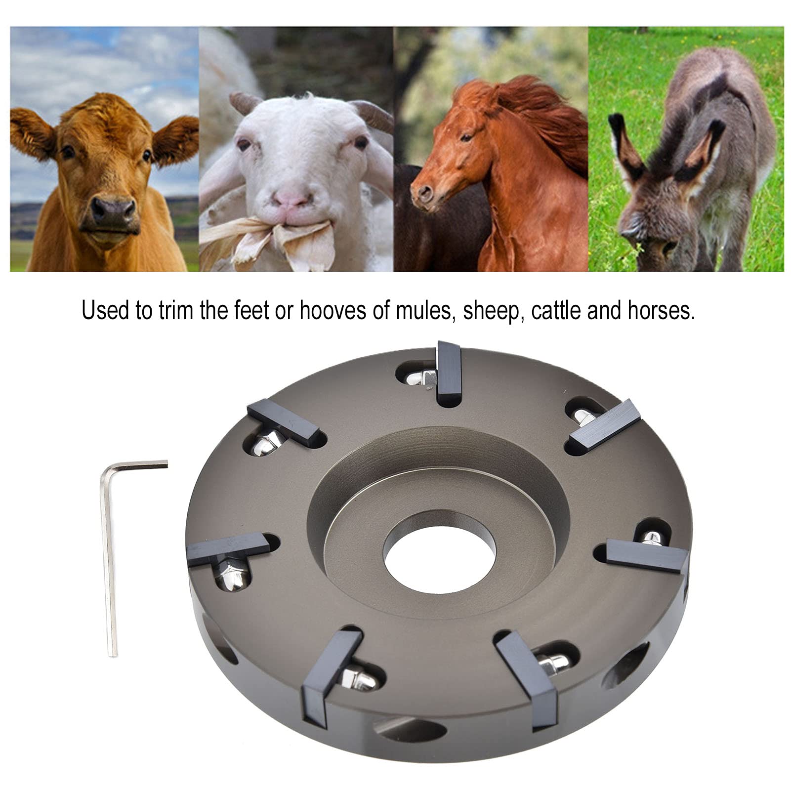 Yosoo Professional Electric Hoof Trimming Plate & Disc Cutter Tool for Cattle, Sheep, Horses - Durable Livestock Grooming Supplies for Farm & Ranch Maintenance