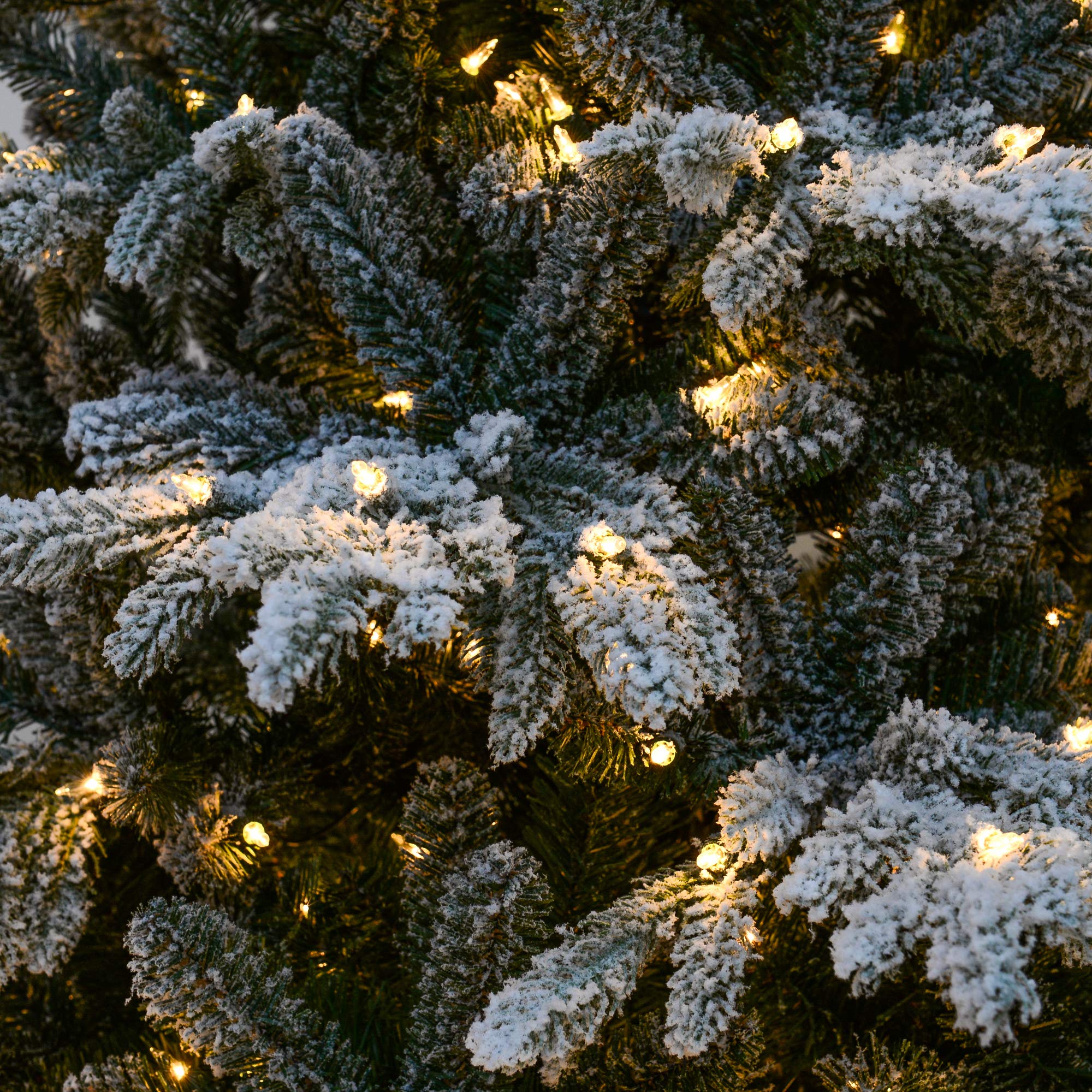 Martha Stewart 6.5ft Flocked Natural Pine Pre-Lit Artificial Christmas Tree with Clear White Lights - Perfect for Holiday Home Decor & Festive Celebrations