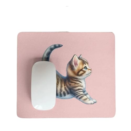 Yoga Cat