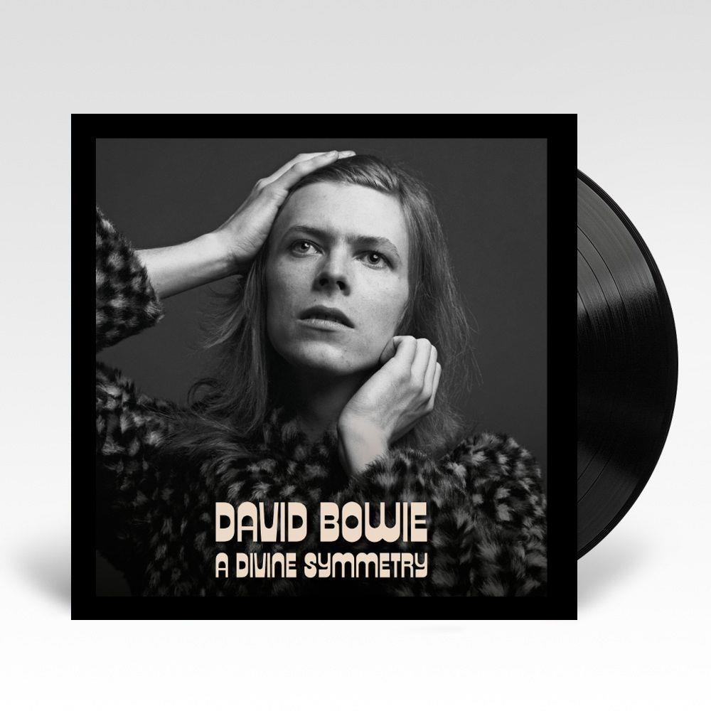 A Divine Symmetry (180g Vinyl LP) - Limited Edition Record for Audiophiles & Music Collectors - Perfect for Vinyl Enthusiasts & Home Listening
