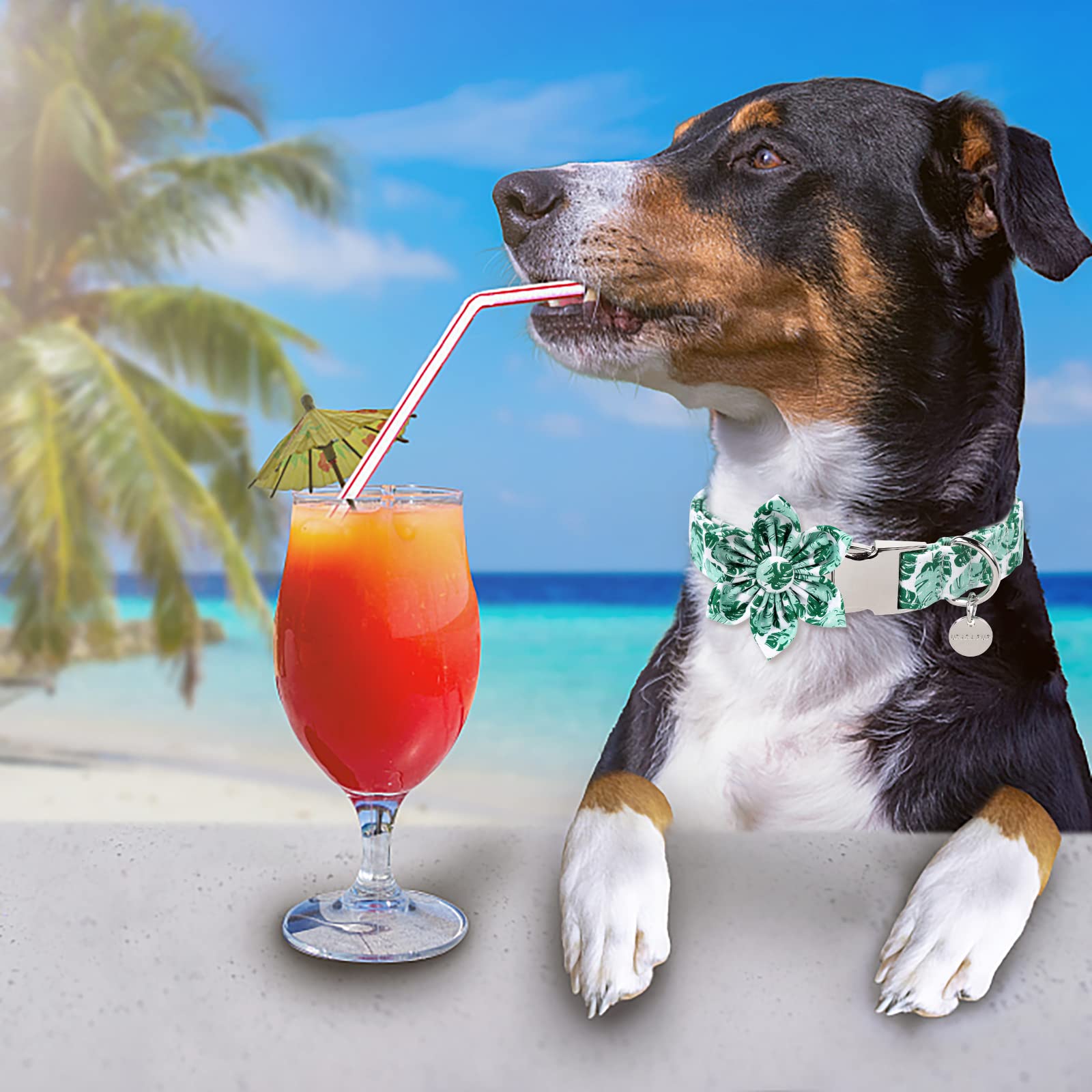 Floral Summer Dog Collar for Small Dogs - Soft Cotton Hawaiian Pet Collar with Metal Buckle, Green Size S - Perfect for Beach Walks & Outdoor Adventures