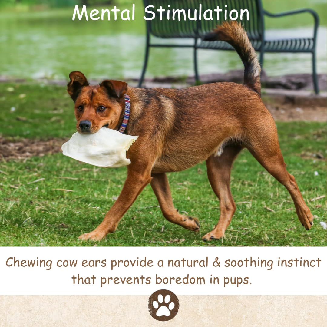 Premium All-Natural Cow Ears Dog Treats - 10 Pack (6