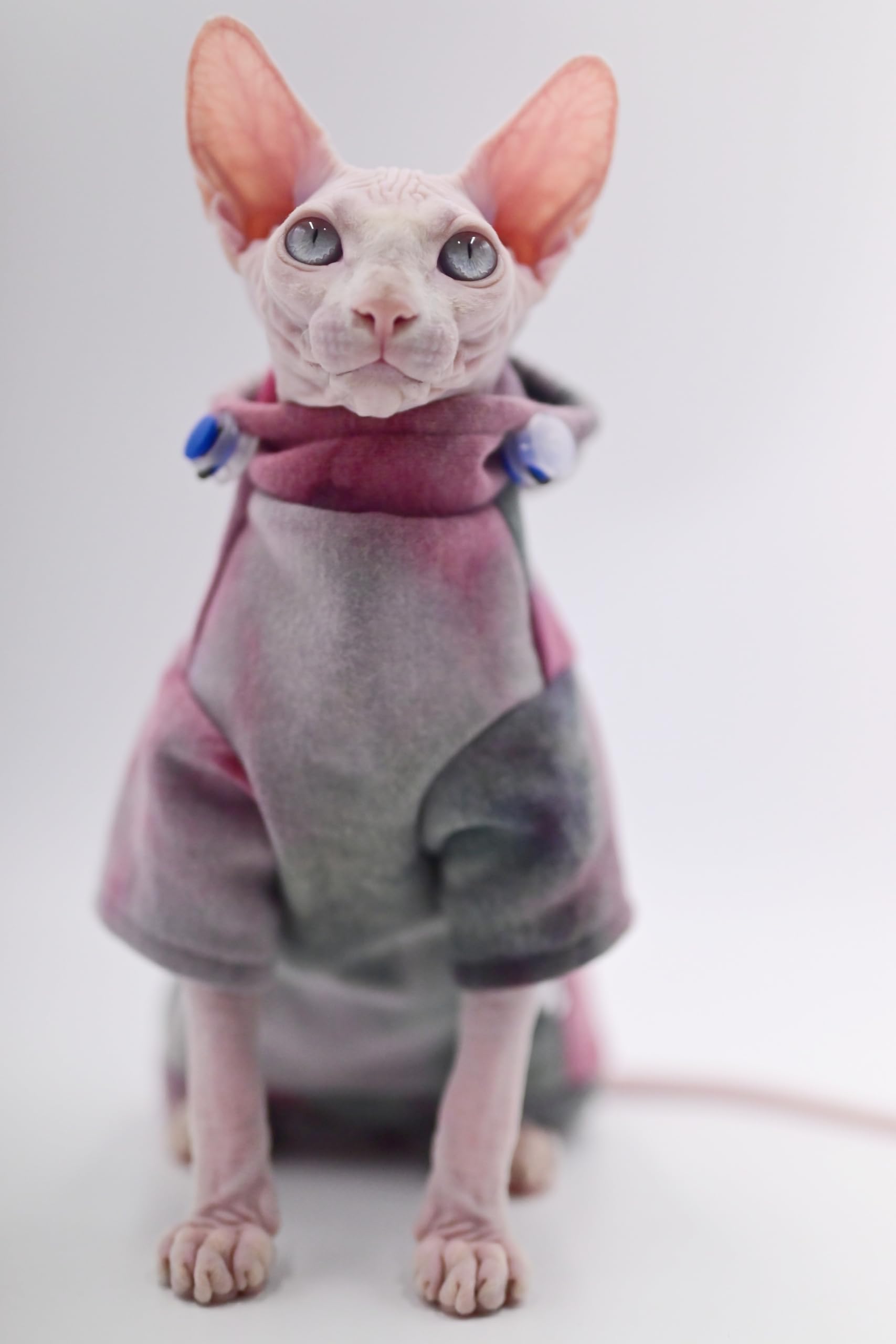 Warm Fleece Hoodie for Hairless Cats - Winter Cat Clothes for Sphynx, Devon Rex & Peterbald | Cozy Indoor & Outdoor Pet Apparel (Size M)