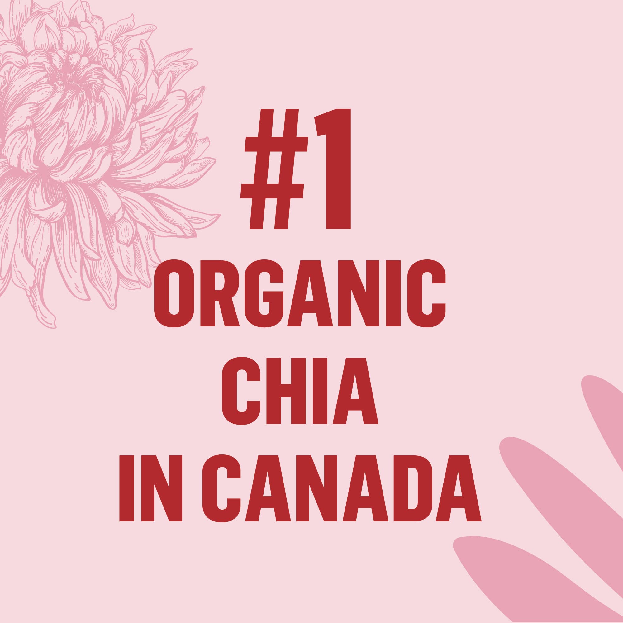Organic Black Chia Seeds | Non-GMO, Gluten Free, Keto Friendly | High in Omega-3, Fiber & Calcium | 200g Pack | Perfect for Smoothies, Yogurt & Baking
