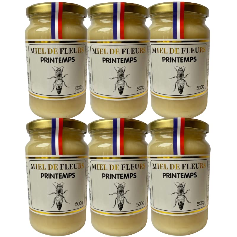 6-Pack Premium French Spring Honey 500g - Creamy, High-Quality, Direct from Beekeeper - Perfect for Tea, Baking & Healthy Breakfasts