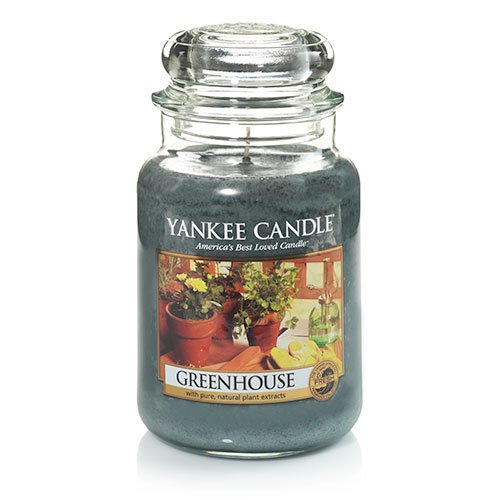 Yankee Candle Large Jar Candle - Greenhouse Fragrance, Fresh Floral Scent for Home, Office & Relaxation | Long Lasting Aromatherapy Candle for Stress Relief & Mood Enhancement