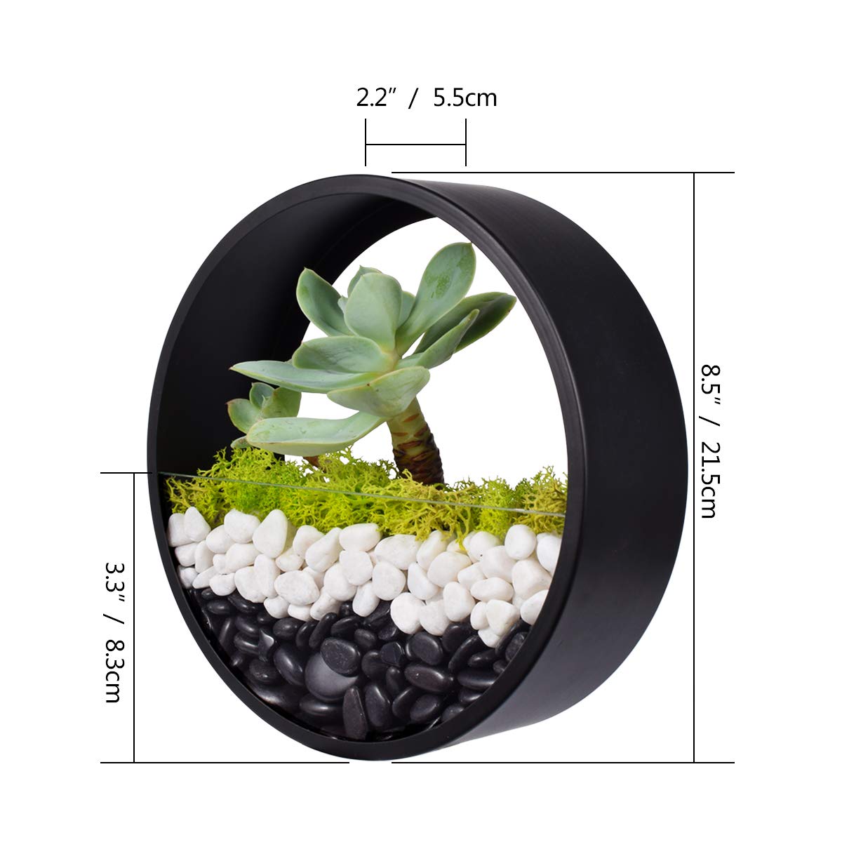 Ecosides 8