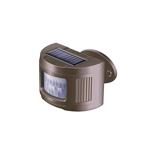 1sensor