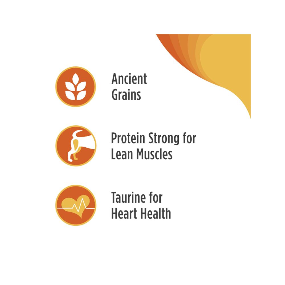 Premium FrontRunner Adult Dog Food with Chicken, Oats & Turkey - High Protein Dry Kibble for Active Dogs | Perfect for Daily Meals, Training Treats & Outdoor Adventures