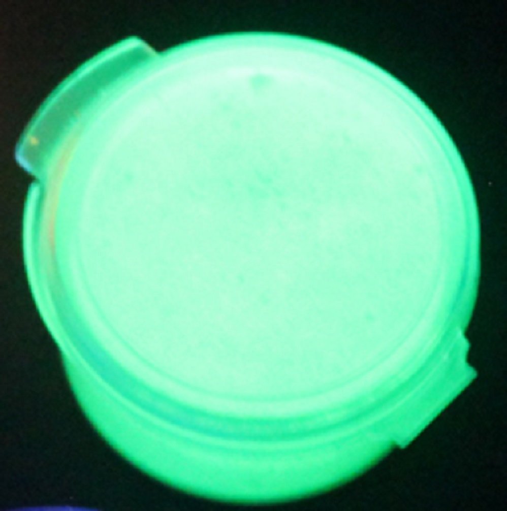 Glow in The Dark Powder - 10 Grams Daytime Visible Green Pigment for DIY Crafts, Halloween Decor & Nighttime Safety Projects
