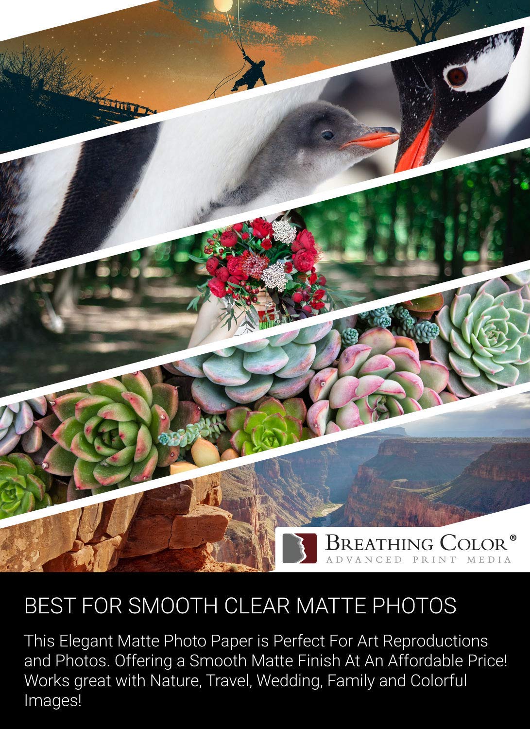 Vibrance Matte Photo Printer Paper - 12 mil 230 gsm Premium Matte Photo Paper Sheets (5x7 inches, 100 Sheets) - Compatible with Epson, Canon, HP & All Inkjet Printers - Perfect for Professional Photography, Scrapbooking & Home Decor