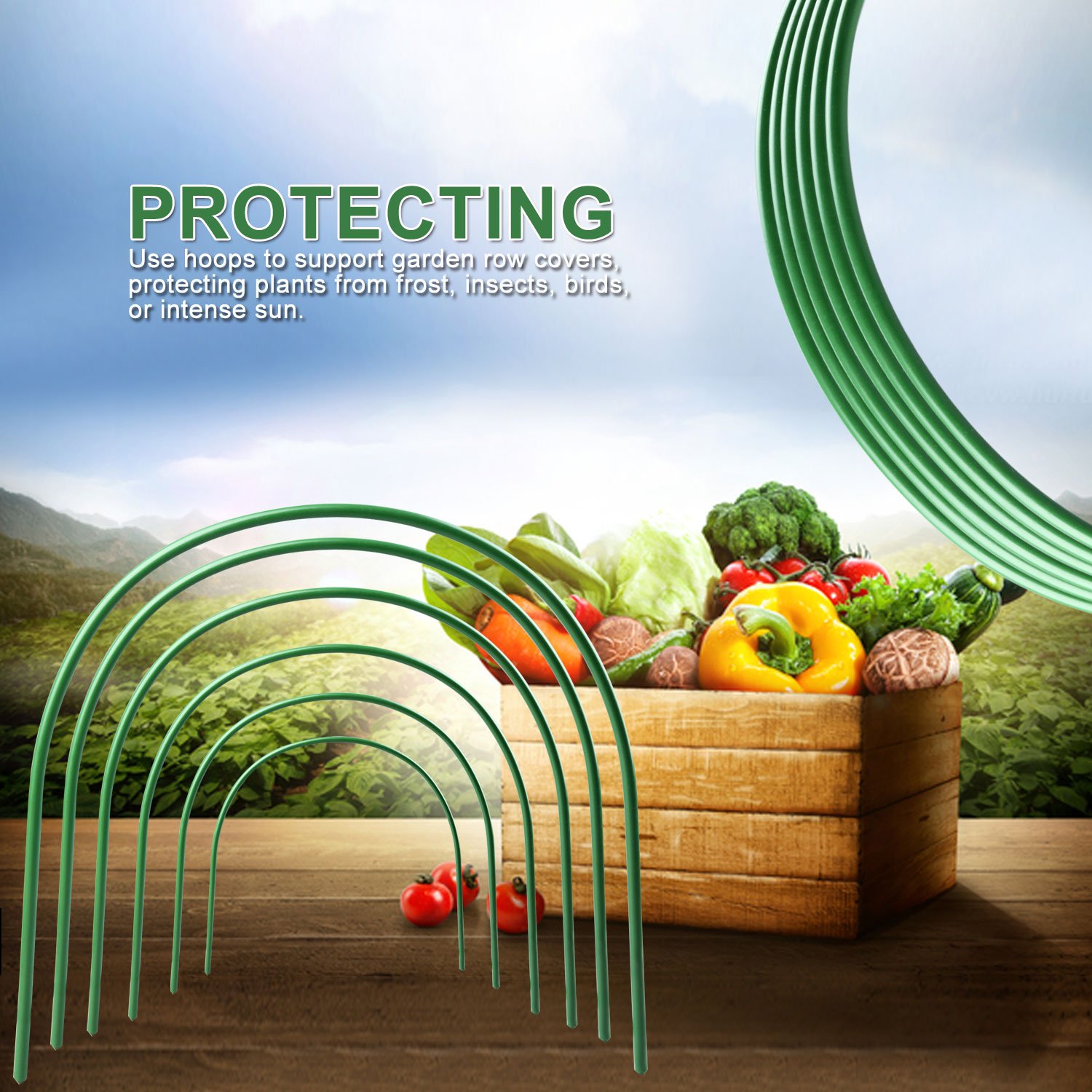 Firlar 6-Pack 4ft Greenhouse Hoops - Rust-Free Steel Grow Tunnel with Plastic Coated Plant Supports for Garden Fabric & Raised Beds | Perfect for Seedling Protection, Plant Support Stakes, and Extending Growing Season