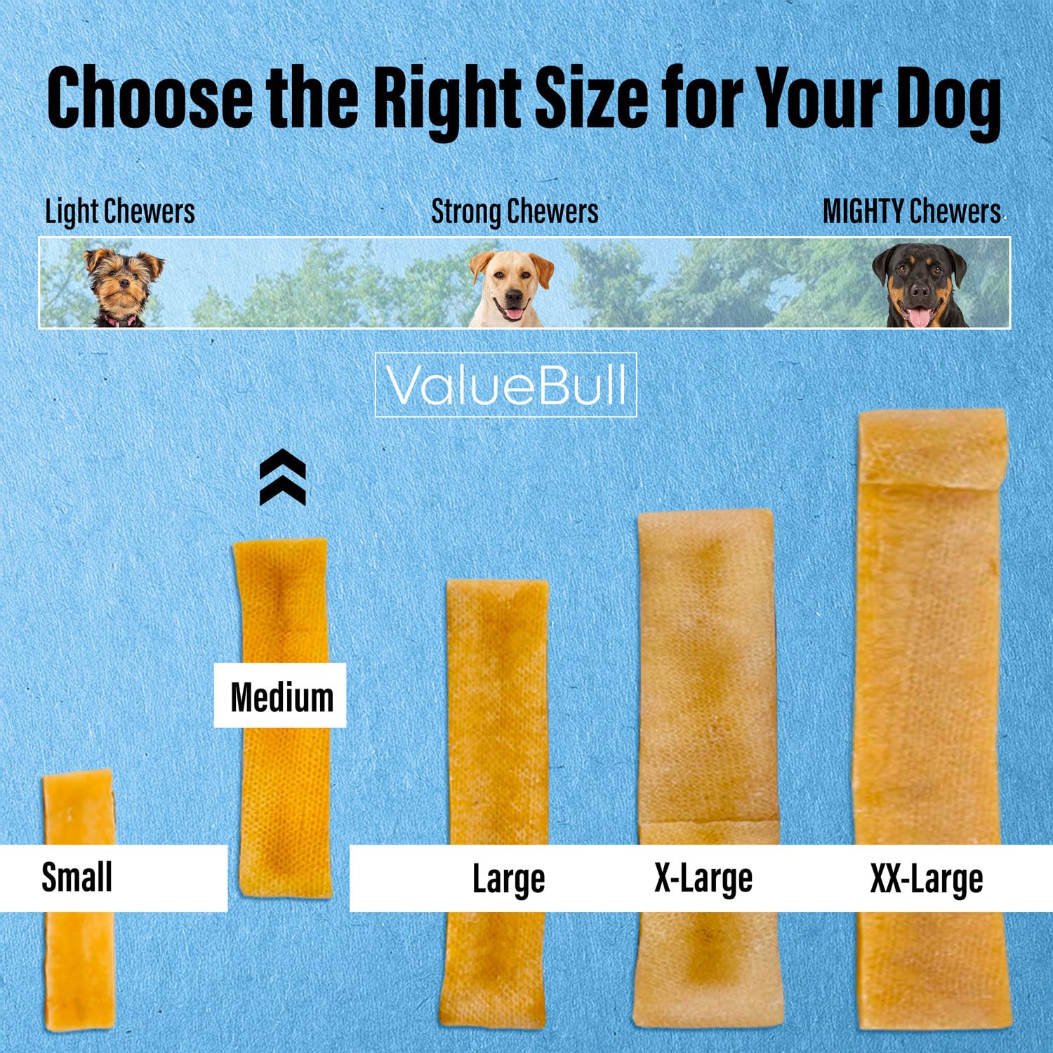 ValueBull Himalayan Yak Cheese Dog Chews - 100 Count Bulk Pack, All Natural & Healthy Long-Lasting Treats for Aggressive Chewers | Low Odor, Safe Yak Milk Chews from Nepal | Perfect for Training Rewards, Dental Health & Anxiety Relief