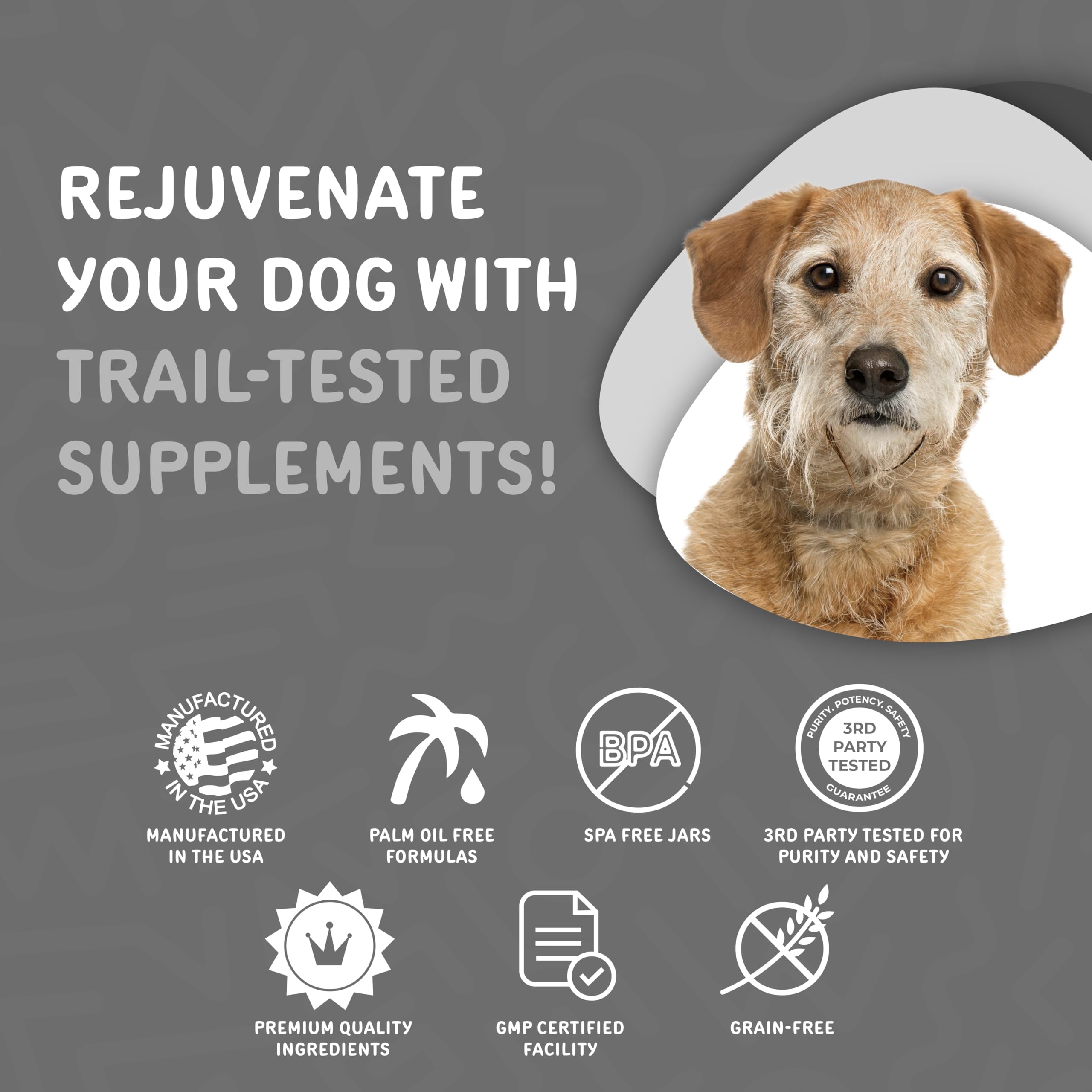 Waggedy Daily Essentials Senior Soft Chews with Glucosamine for Dogs - Digestive Support & Joint Health Supplement - Multivitamin Treats for Overall Wellness - Senior Dog Vitamins (60 Chews) - Perfect for Aging Dogs with Mobility or Digestion Issues