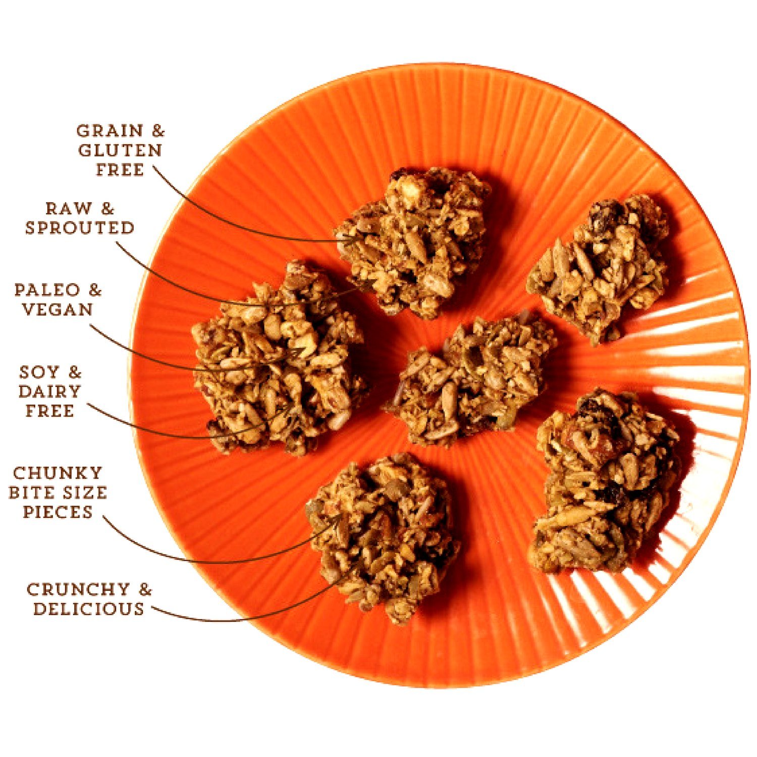 Organic Vegan Paleo Granola Bites - Grain Free, Sprouted Nuts & Seeds - Perfect for Healthy Snacking & Breakfast (Berrylicious, 8oz)